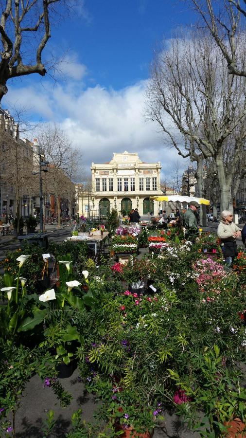 Appartement Centre Historique Μπεζιέ Εξωτερικό φωτογραφία
